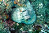 2009-09-08 13-12-08Li